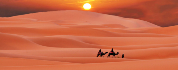 merzouga dromario